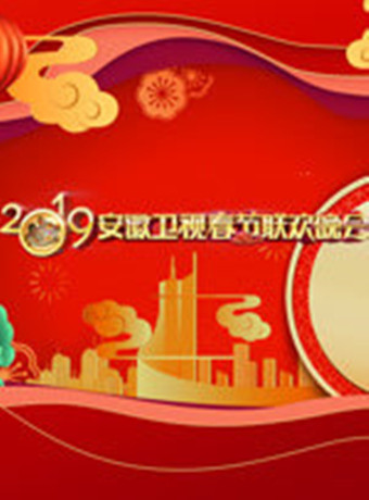 2019安徽卫视春晚