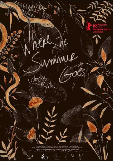 夏天的去向：青春章节