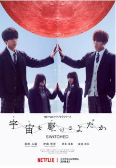 翱翔于天际的夜鹰