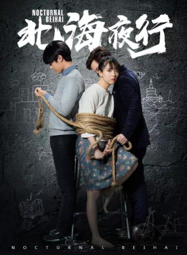 北海夜行