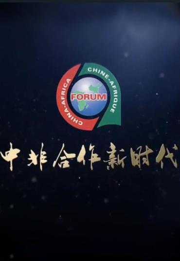 中非合作新时代