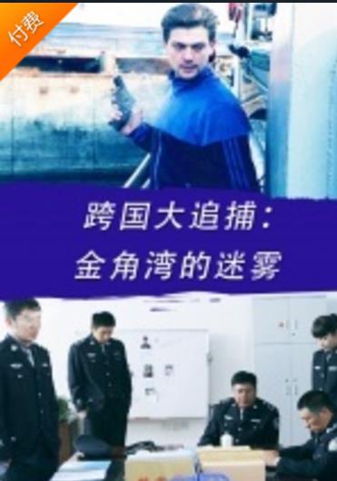 跨国大追捕：金角湾的迷雾