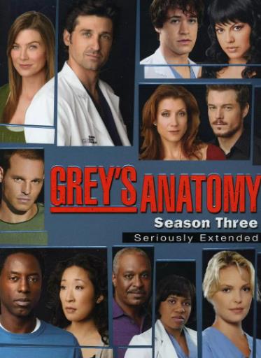 实习医生格蕾第三季