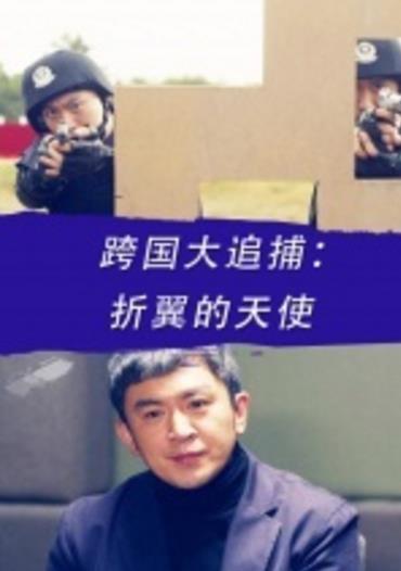 跨国大追捕：折翼的天使