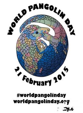 穿山甲：被捕杀最多的动物