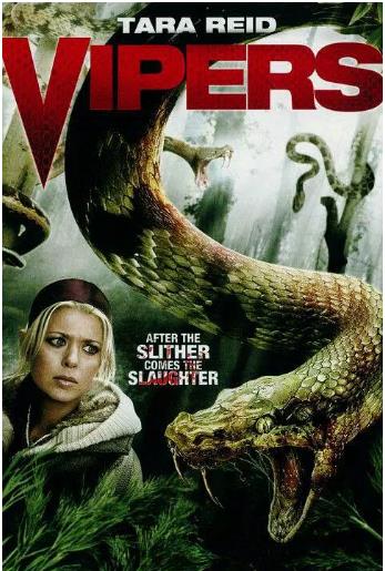 毒蛇2008