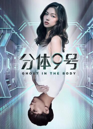 分体9号