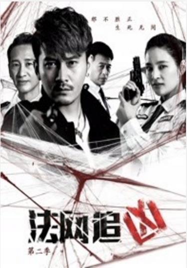 法网追凶2
