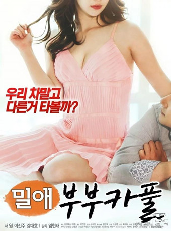 情事：夫妻合伙用车