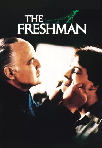 新鲜人/一年级新生