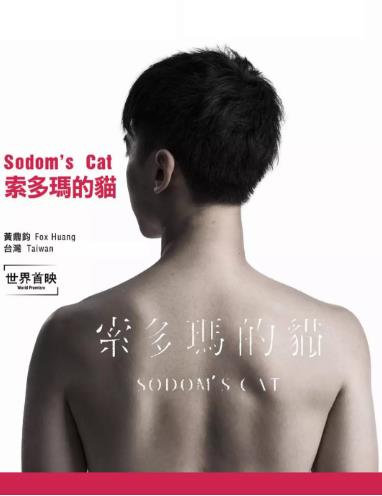 索多玛的猫