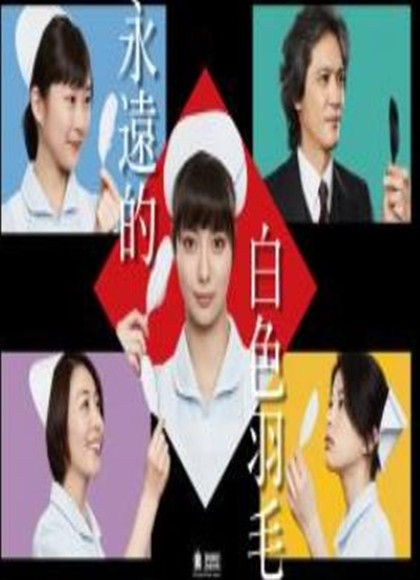 永远的白色羽毛