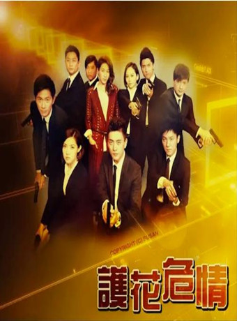 护花危情(国语)