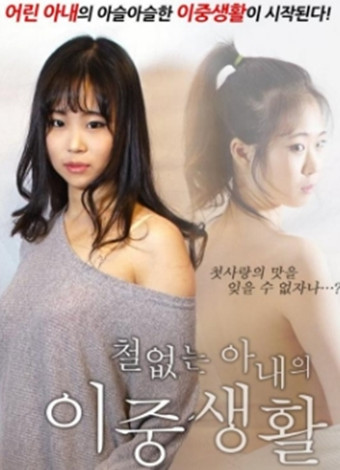 一个精力充沛妻子的双重生活