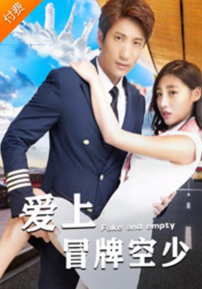 爱上冒牌空少