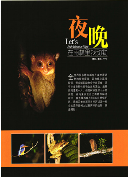 夜行动物探秘