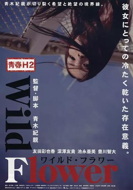 青春H2之狂野之花