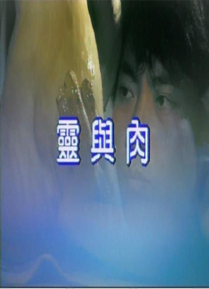 灵与肉(台湾版)