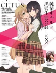 Citrus柑橘味香气