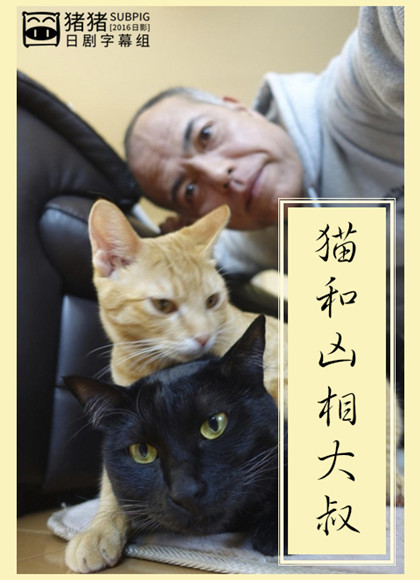 猫和凶相大叔2猫