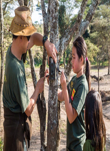 在非洲保护狮子的中国人