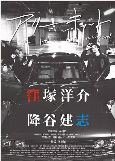 流浪猫/野猫大暴走