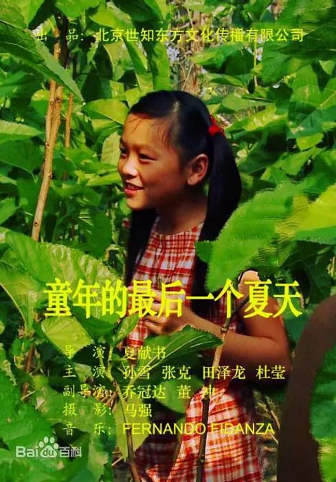 童年的最后一个夏天