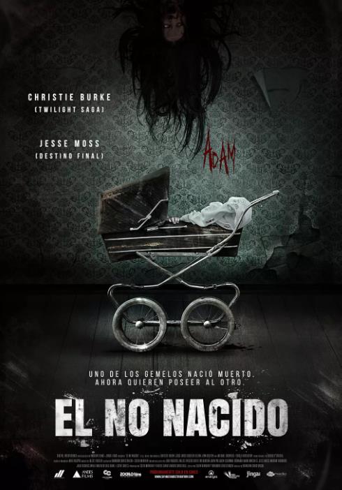 死产儿/夭折双胞胎