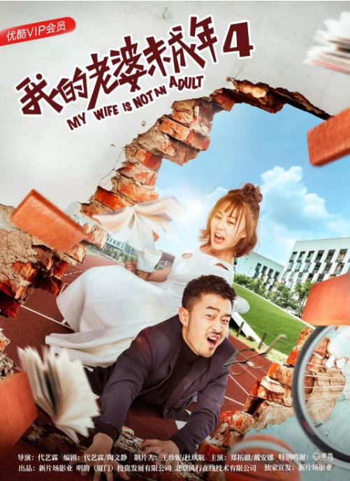 我的老婆未成年4