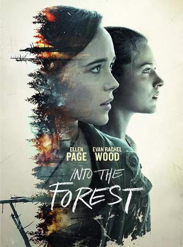 森林深处/走进希望无限的森林