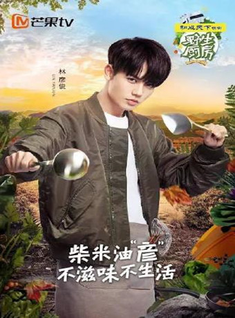 野生厨房粉丝定制版