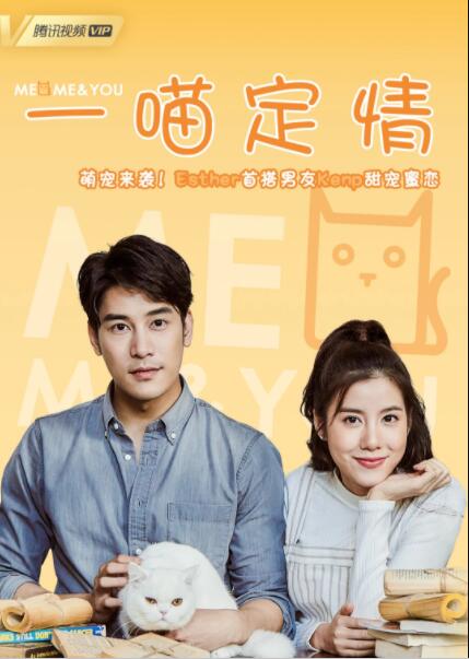 一喵定情国语版