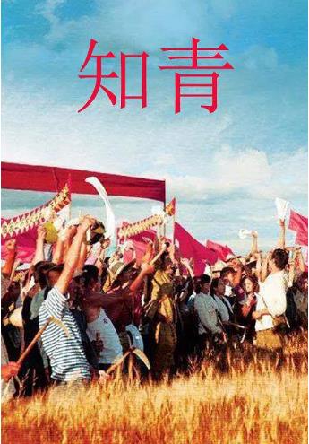 知青