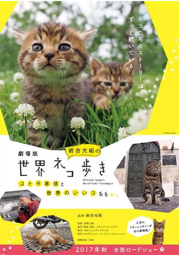岩合光昭の猫步走世界~西班牙巴斯克篇~