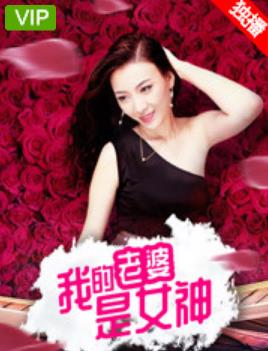 我的老婆是女神