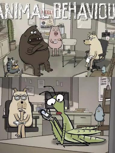 动物行为