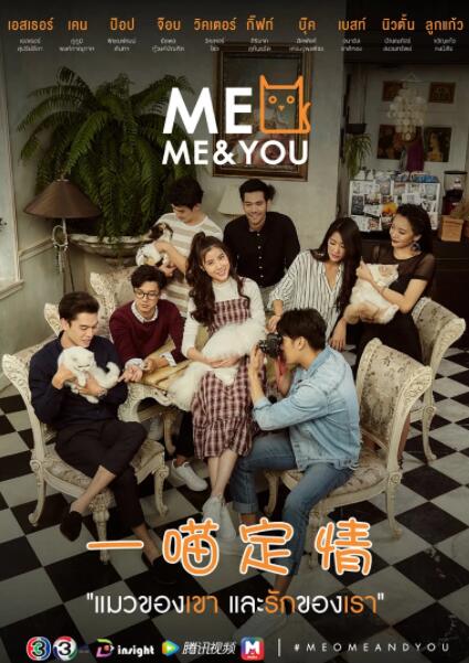 一喵定情泰语版