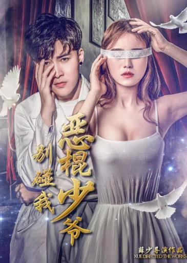 恶棍少爷别碰我