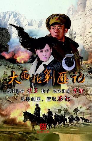 大西北剿匪记