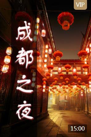 成都之夜