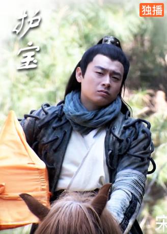 护宝/儿女传奇之护宝