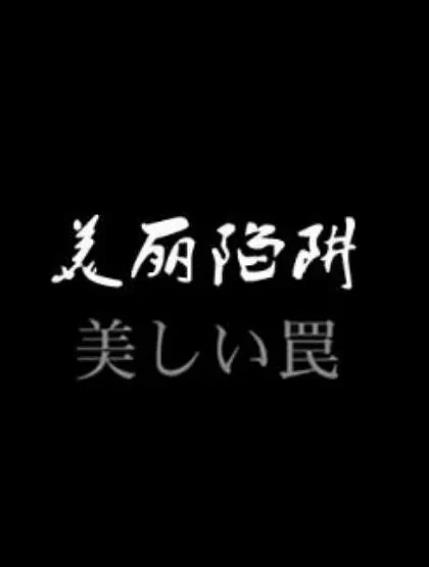 美丽陷阱(日剧)