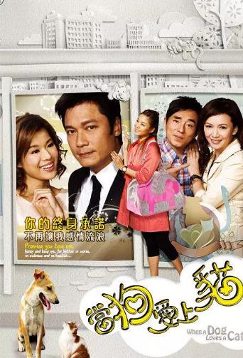 当狗爱上猫国语
