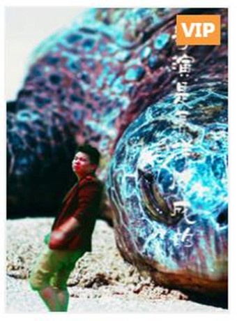 导演是怎样炼成的