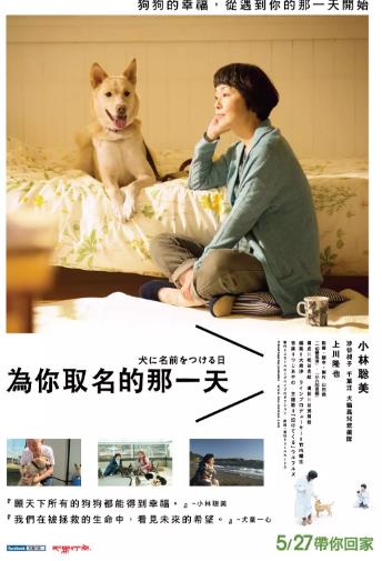 为你取名的那一天