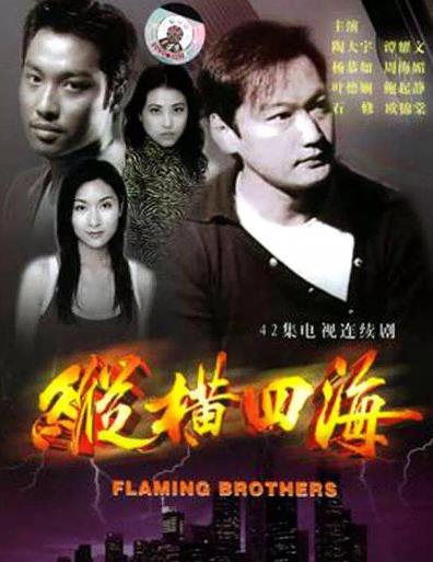 纵横四海电视剧