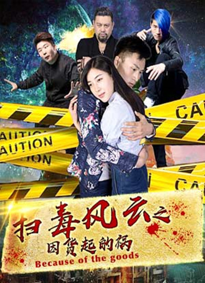 扫毒风云之因货起的祸