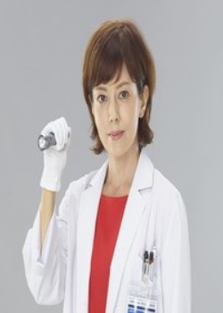 科搜研之女第十七季