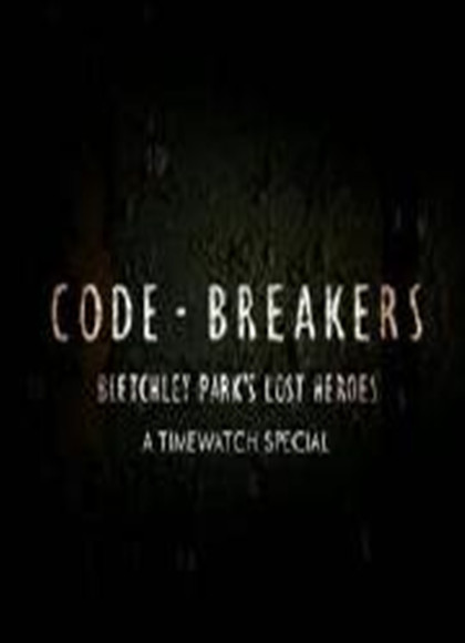 密码破译者：布莱切利庄园的幕后英雄