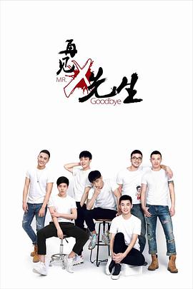 再见x先生第三季